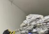 Kepri Quarantine Certifies 290 Tons of Frozen Fish Shipments Worth Rp4.45 Billion to Jakarta