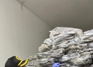 Kepri Quarantine Certifies 290 Tons of Frozen Fish Shipments Worth Rp4.45 Billion to Jakarta